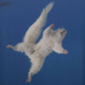 Meet your Posher, Hilary